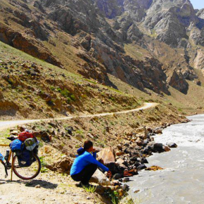 Bamboobee.. And The Circle Of&nbsp;Life